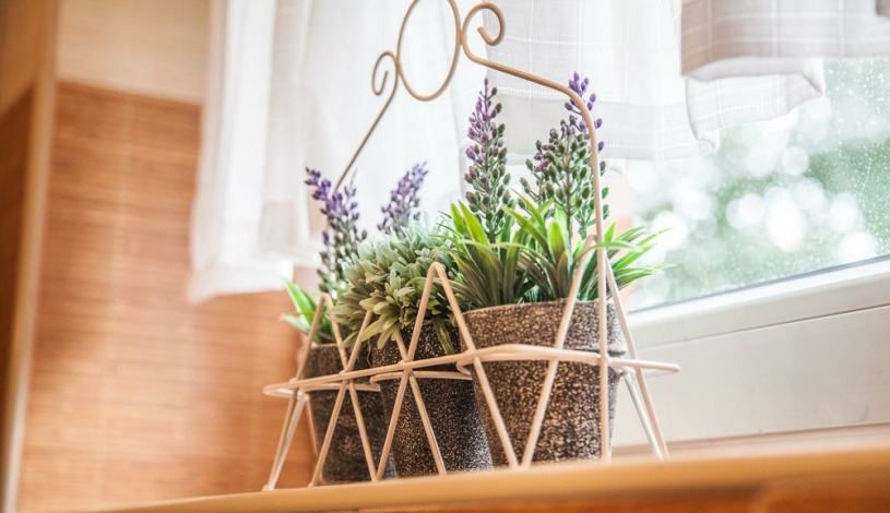 Apartmány u Červeného stromu Rožnov pod Radhoštěm